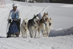 Kandersteg 2013